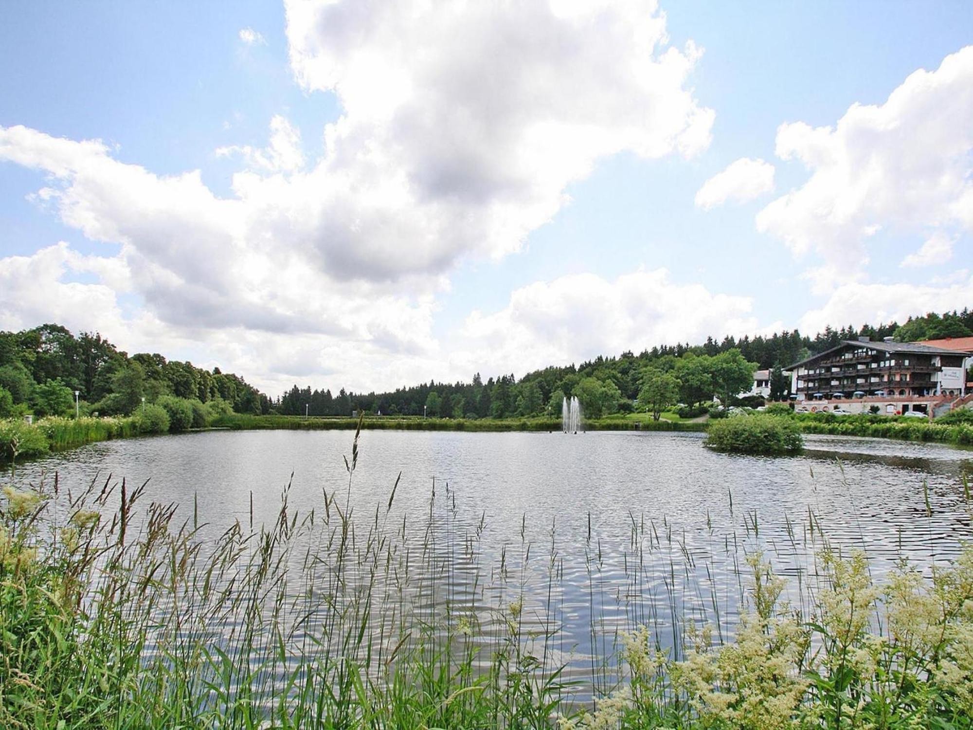 Ferienwohnung In Hahnenklee Goslar Ngoại thất bức ảnh